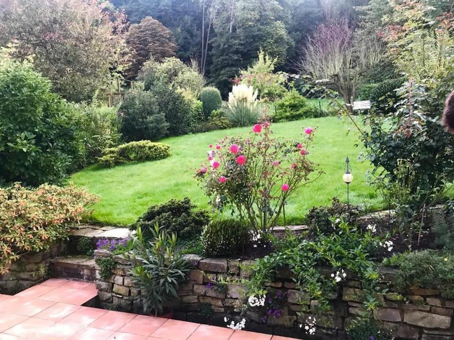 Апартаменты Ein Zuhause Mit Schonem Garten Бонн Экстерьер фото