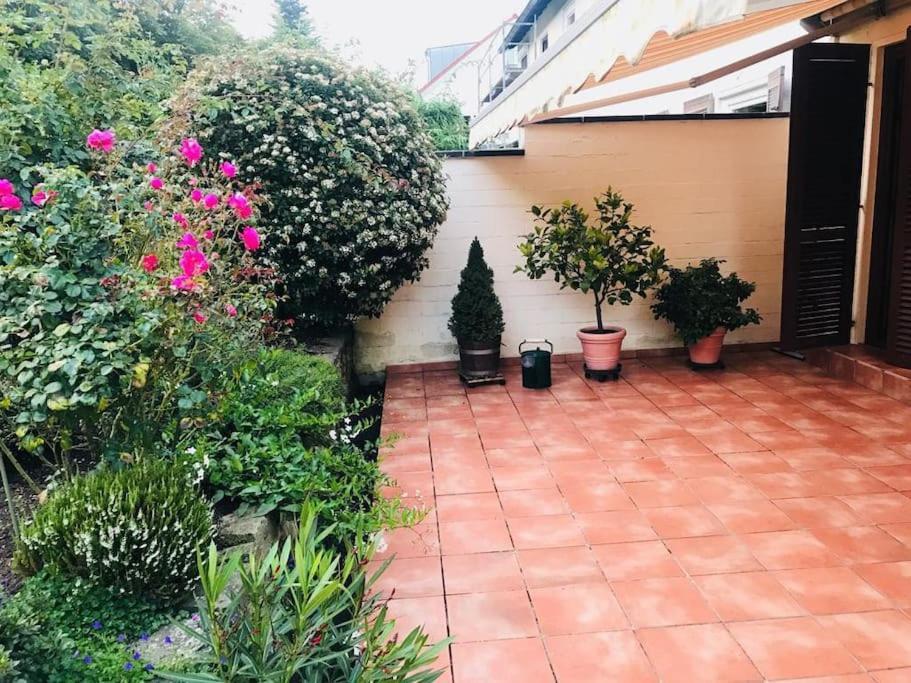 Апартаменты Ein Zuhause Mit Schonem Garten Бонн Экстерьер фото